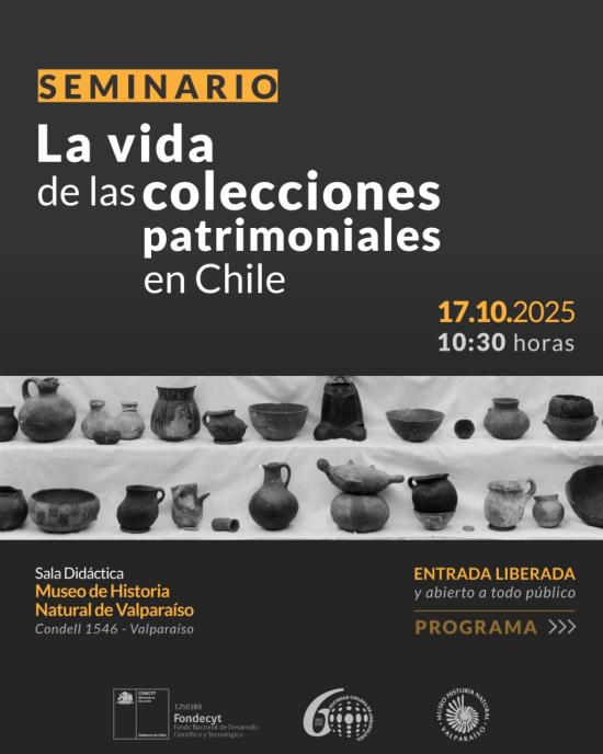 seminario colecciones
