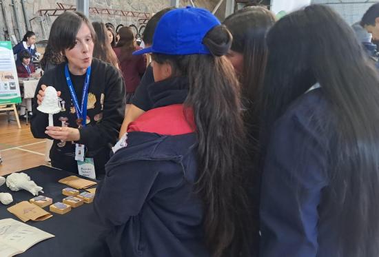educación ambiental 