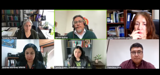 seminario colecciones