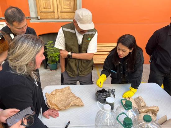 vermicompostera en el museo