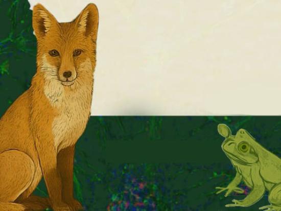 Sociedad de Biología de Chile