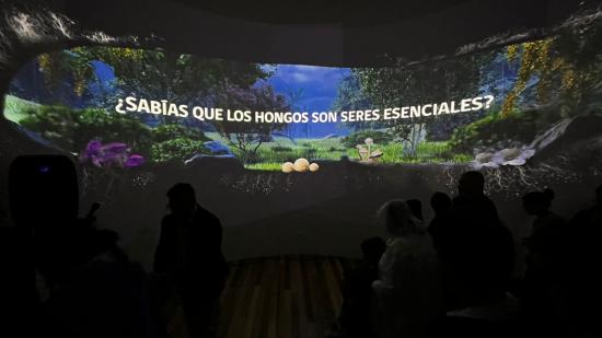 sala museo experiencia