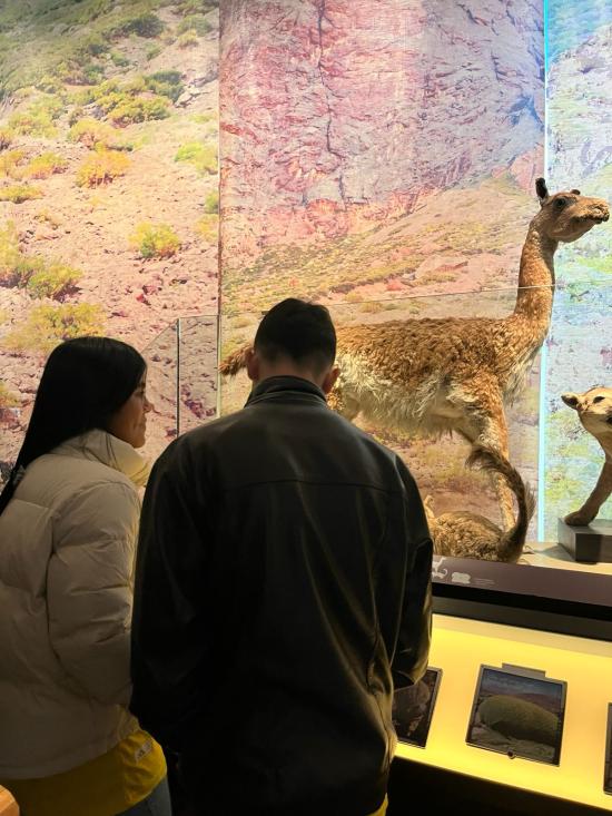 recorrido de visitantes por el museo