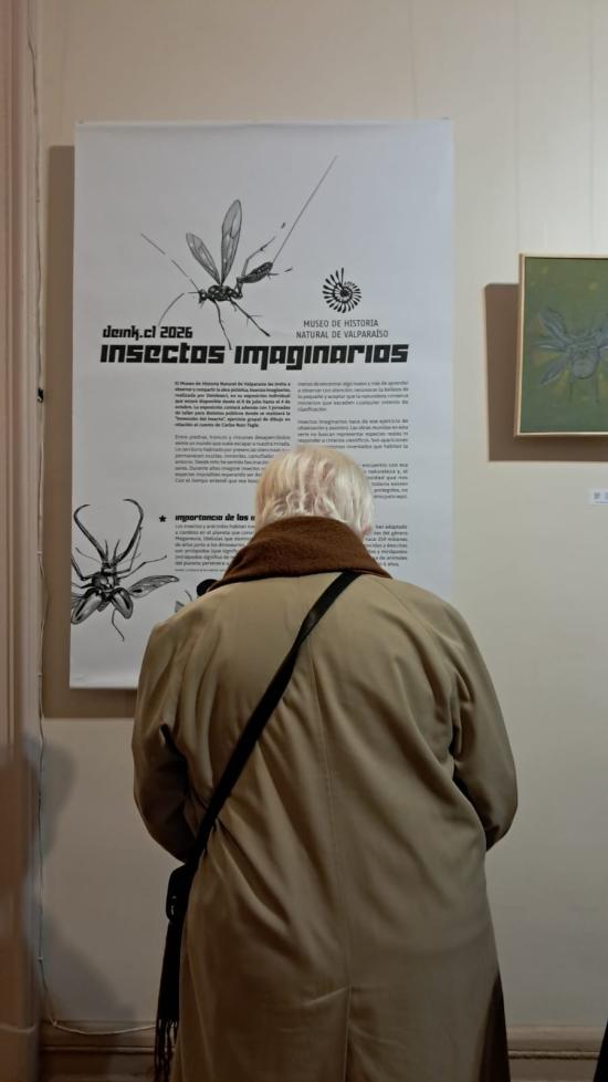 exposición pinturas 