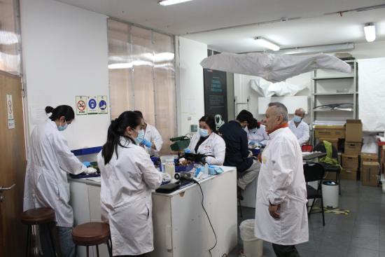 taller de taxidermia