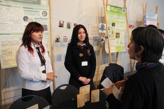 concurso escolar
