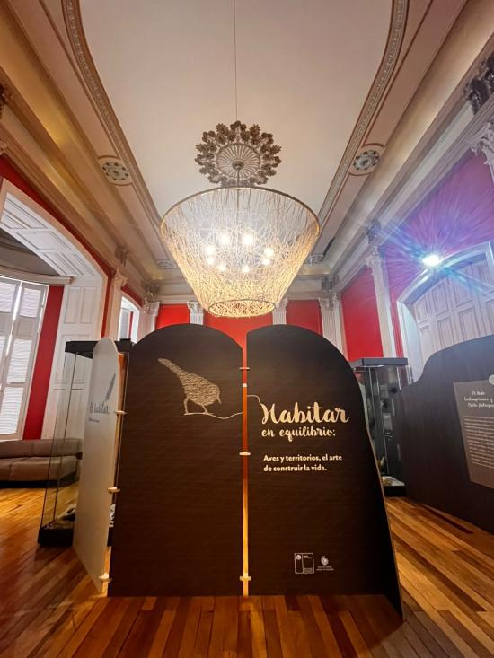 Exposición 