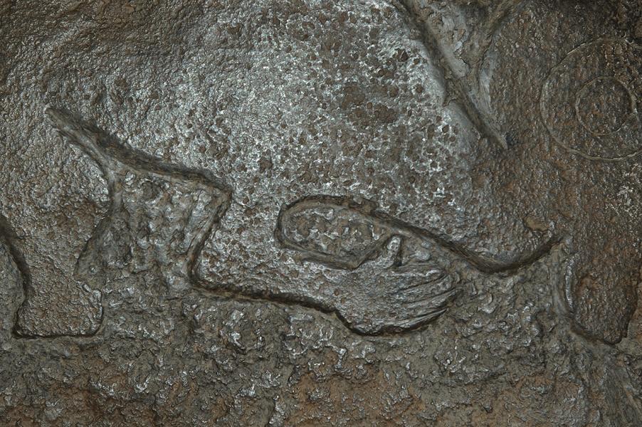 Tangata manu (detalle) Tangata manu (detalle)