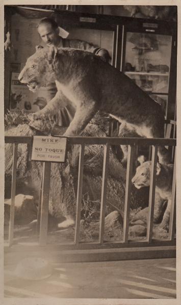 José Carpeneto con leona