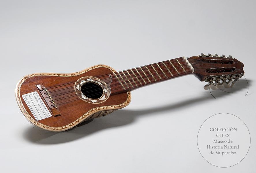 Charango de quirquincho peludo patagónico