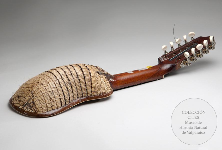 Charango de quirquincho peludo de la puna