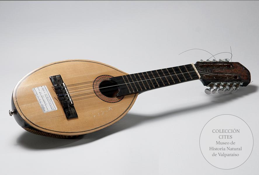 Charango de quirquincho nueve bandas