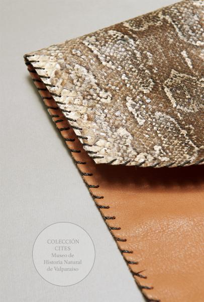 Billetera de escamas de serpiente