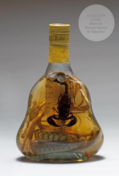 Licor de cobra