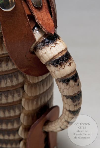 Termo de piel de quirquincho (detalle)