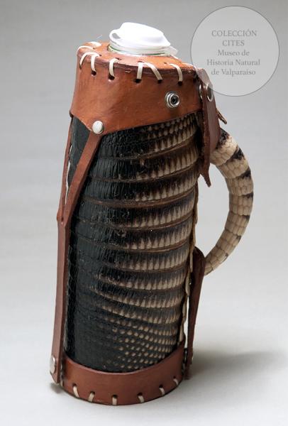 Termo de piel de quirquincho (reverso)