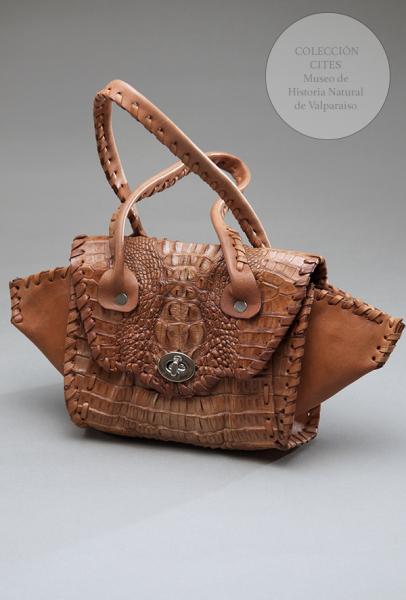 Cartera de piel de caimán