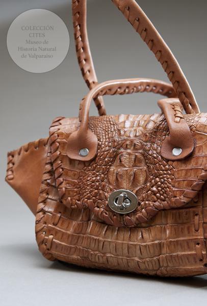 Cartera de piel de caimán