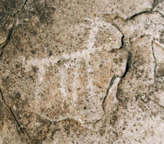 Petroglifo (detalle) sector Cunlagua Petroglifo (detalle) sector Cunlagua