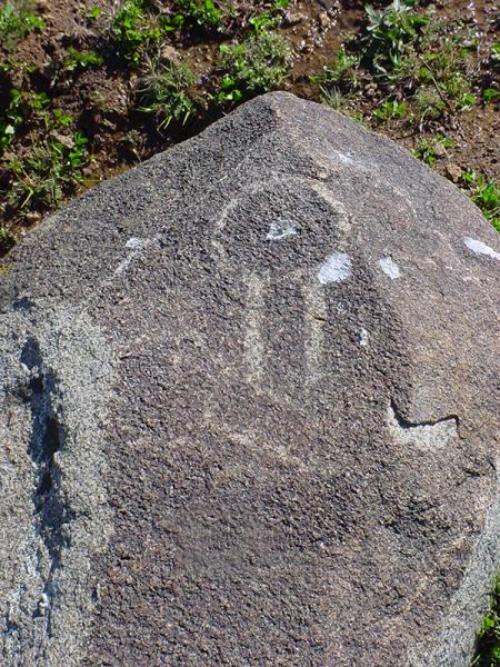 Petroglifo en cajón del valle de Chalinga Petroglifo en cajón del valle de Chalinga