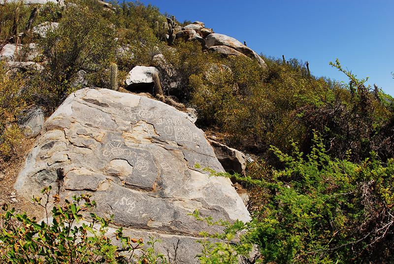 Petroglifo en sector Zapallar Petroglifo en sector Zapallar