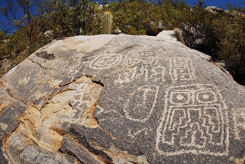 Petroglifo en sector Zapallar Petroglifo en sector Zapallar