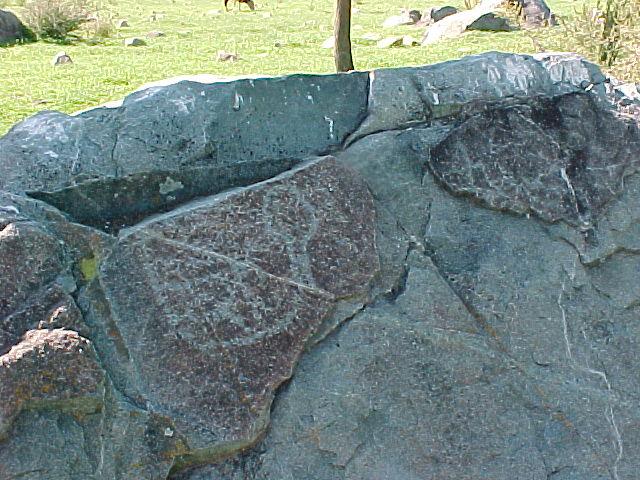 Petroglifo quebrada Batuco Petroglifo quebrada Batuco