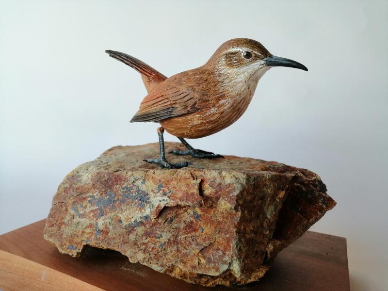 Bandurrilla de pico recto (Ochetorhynchus ruficaudus) Bandurrilla de pico recto (Ochetorhynchus ruficaudus)