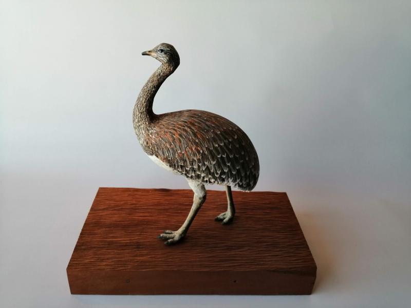 Suri (Rhea pennata)