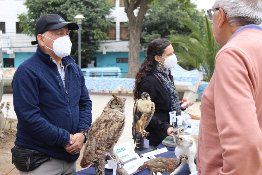 Nuestro taxidermista Juan Carlos Belmar explicando la importancia de la cadena trófica