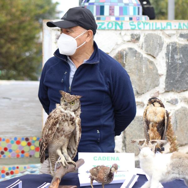 Parte de la cadena trófica