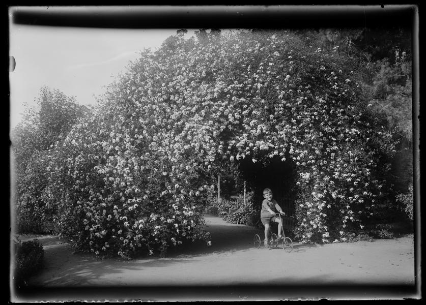 Retrato de un niño en triciclo