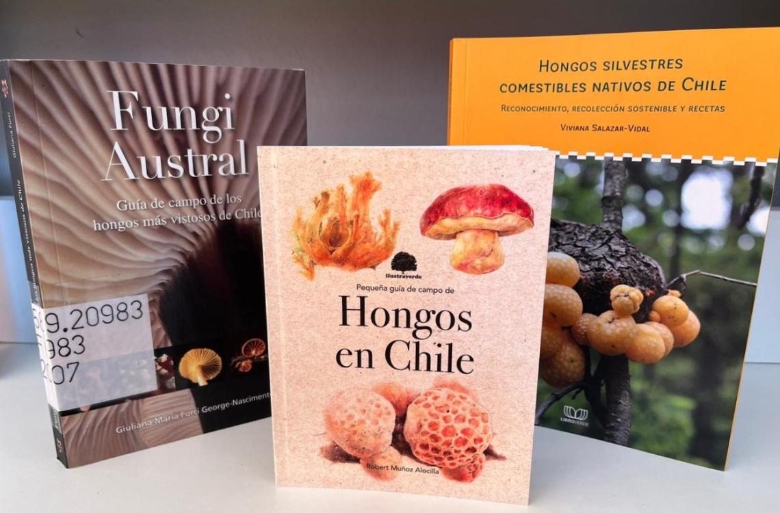 Selección de libros temática hongos, Colección Bibliográfica General, disponibles para la consulta del público. 